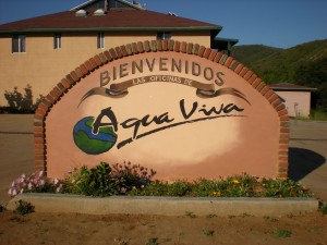 Agua Viva - Living Water